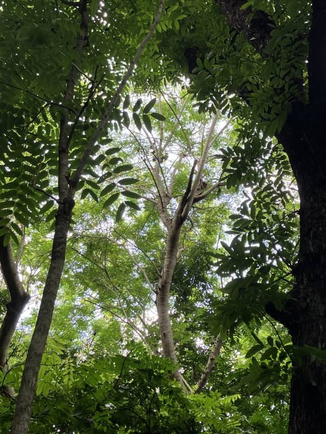 Photo 1 by Elaine S. (2/6/25)