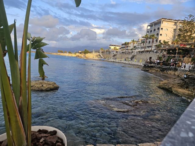 Photo 1 by Matthew P. (6/15/25)