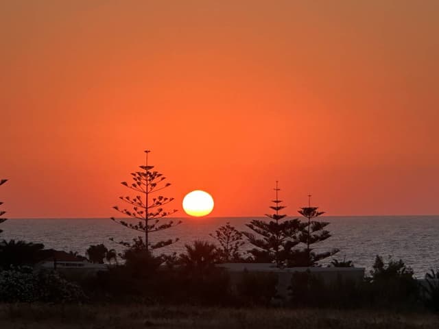 Photo 1 by Viktor M. (7/5/24)