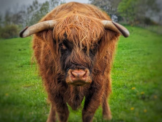 Photo 1 by Lesli Q. (8/7/24)