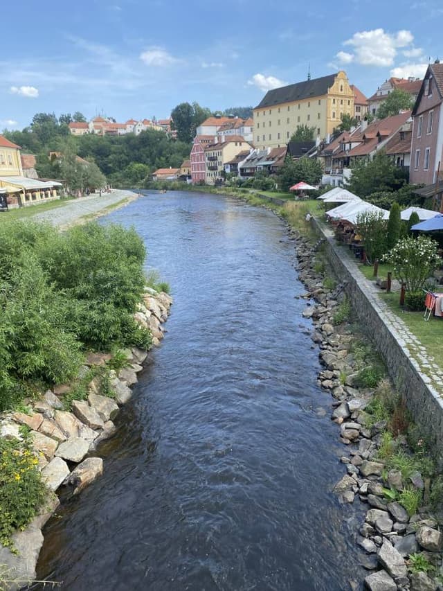 Photo 1 by Heidi N. (7/29/24)