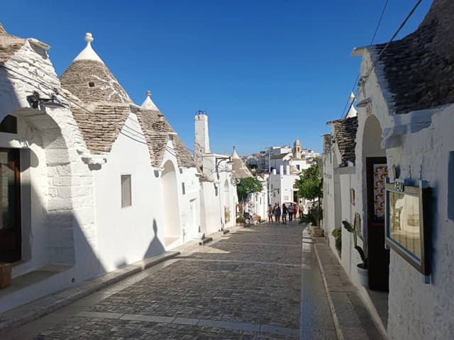 Photo 1 by Maria S. (10/2/24)