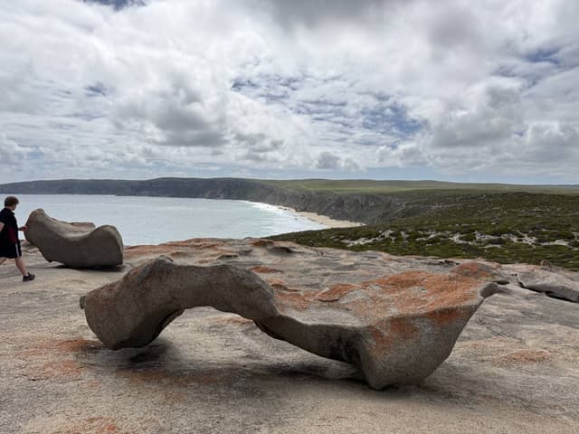 Photo 2 by Cheryl L. (1/10/26)