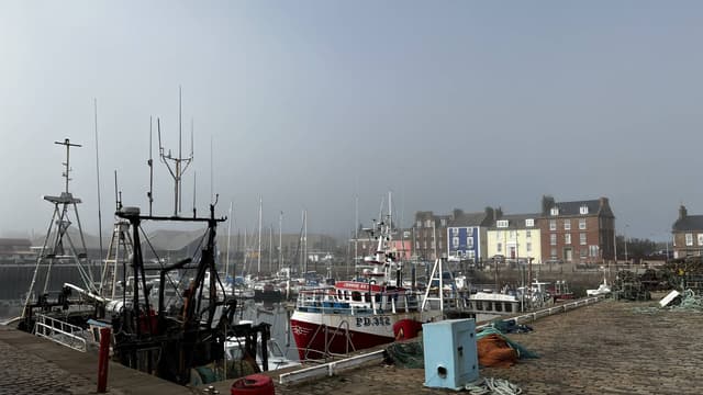 Photo 1 by Florian A. (10/18/25)