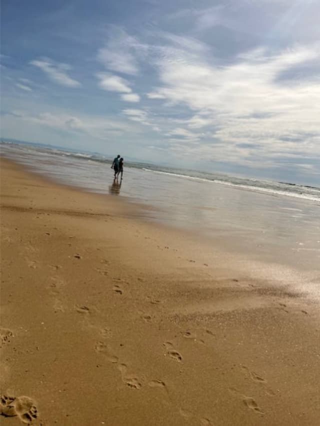 Photo 2 by Petr H. (6/30/24)