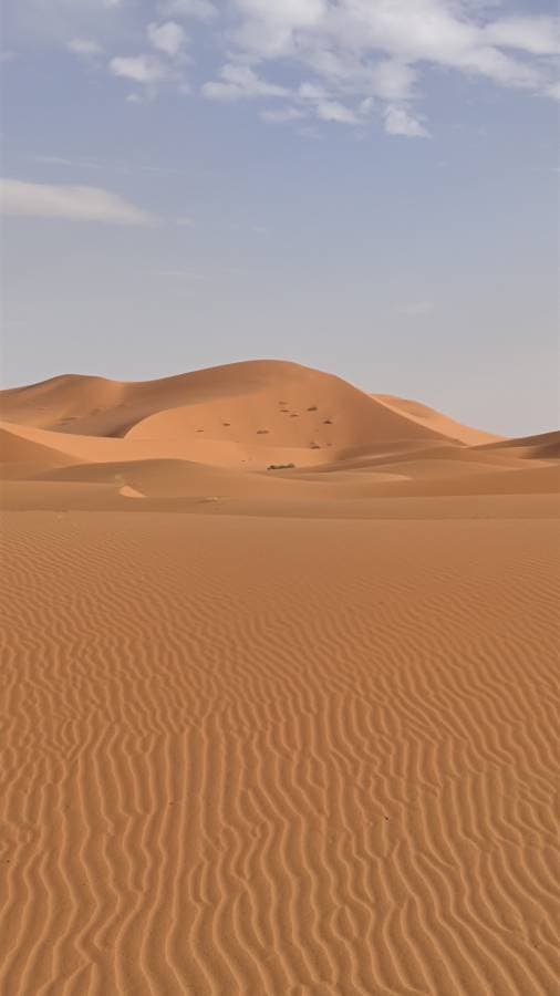 Photo 1 by Juraj P. (5/19/23)