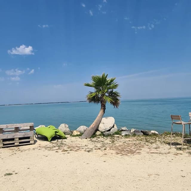 Photo 1 by James R. (7/31/24)