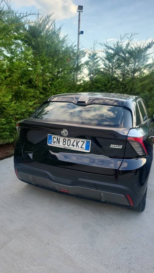 Photo by Dorin S. (7/1/25)