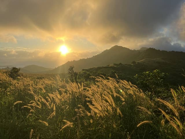 Photo 2 by Emily K. (6/13/25)