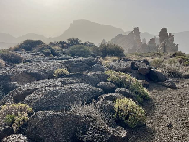 Photo 1 by Roman Sergeevich K. (3/17/26)