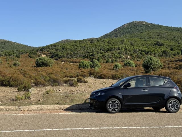 Photo 2 by Jana Z. (7/20/24)