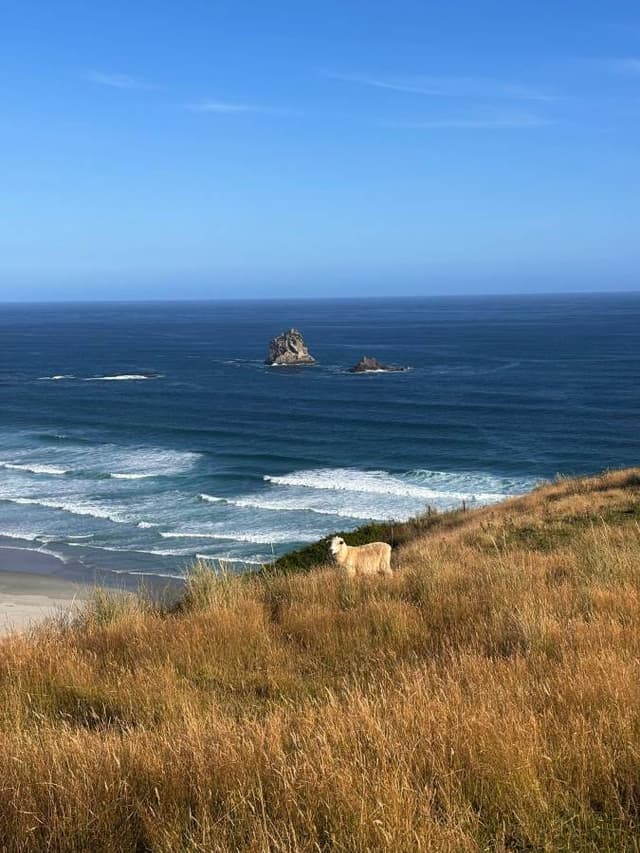 Photo 2 by Gurnam K. (2/7/26)