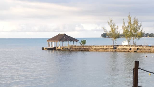 Photo by Soma Sekhar P. (11/12/25)