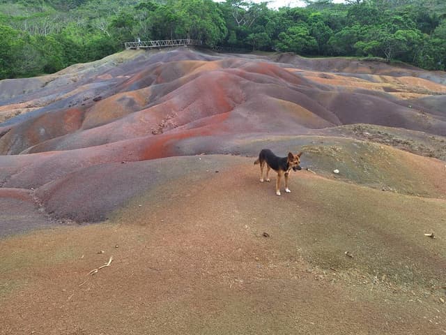 Photo 1 by Lambertus D. (2/16/24)