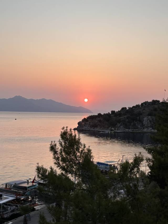 Photo by Zafer K. (9/3/24)