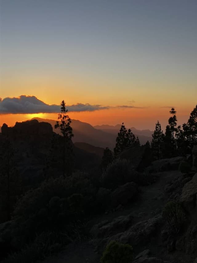 Photo 3 by Dmitrij S. (2/15/25)