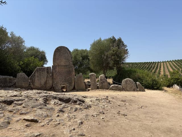 Photo 2 by Franciska J. (7/7/25)