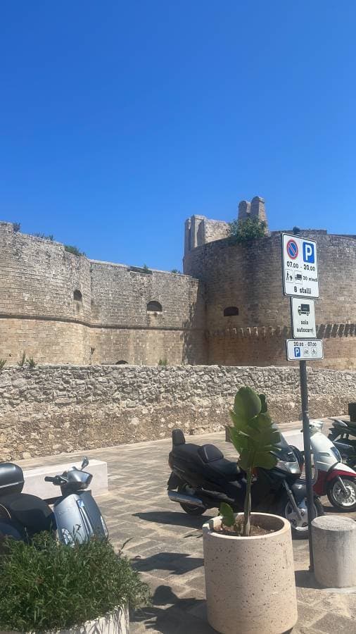 Photo 2 by Tim Pieter Theodorus E. (8/29/24)