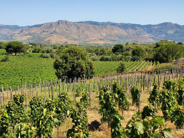 Photo 1 by Tracey B. (7/21/25)