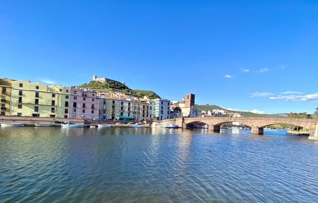 Photo 1 by Peter G. (5/19/25)