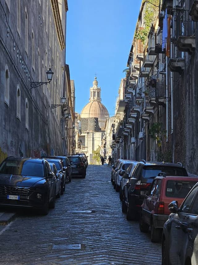 Photo 1 by DonnaMarie G. (12/1/25)