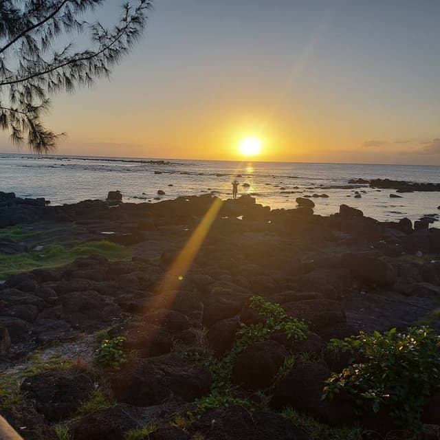 Photo 1 by Carol T. (3/20/24)