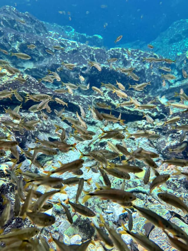 Photo by Jakub S. (3/25/26)