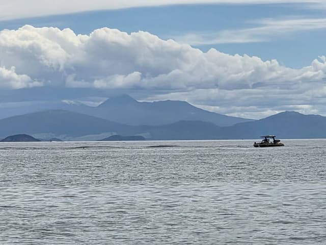 Photo 1 by Peter W. (1/4/26)