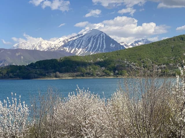 Photo by Bin W. (5/3/25)