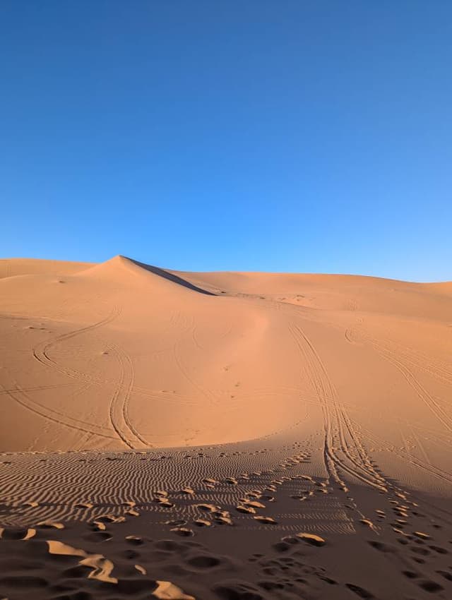 Photo 1 by Steven C. (1/11/25)