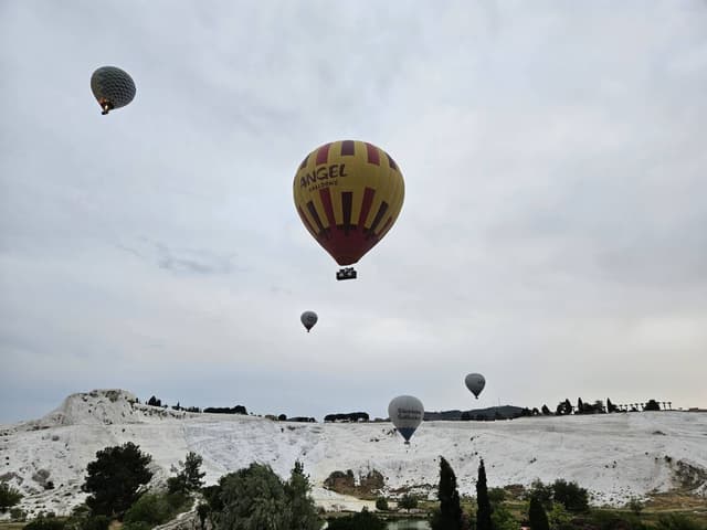 Photo 1 by Simon K. (5/15/24)