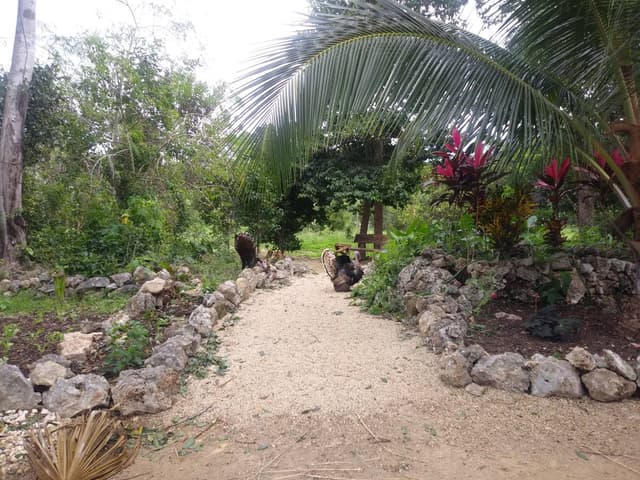 Photo 1 by Denis T. (2/14/24)