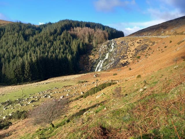 Photo 1 by Thierry D. (1/7/24)