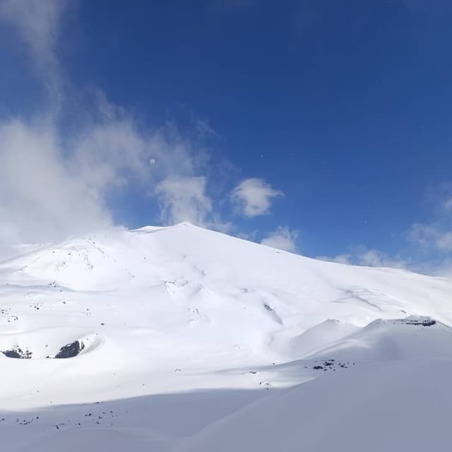 Photo 2 by Peter P. (3/26/26)