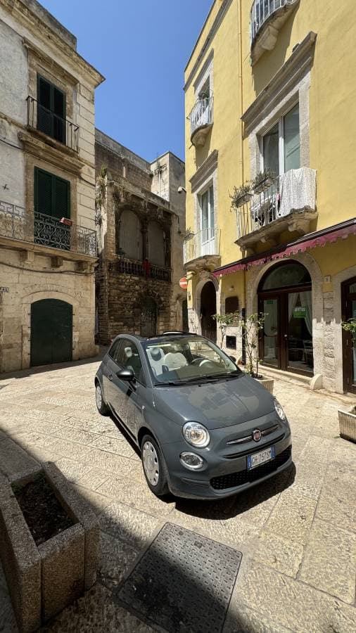 Photo by Petar I. (6/14/25)