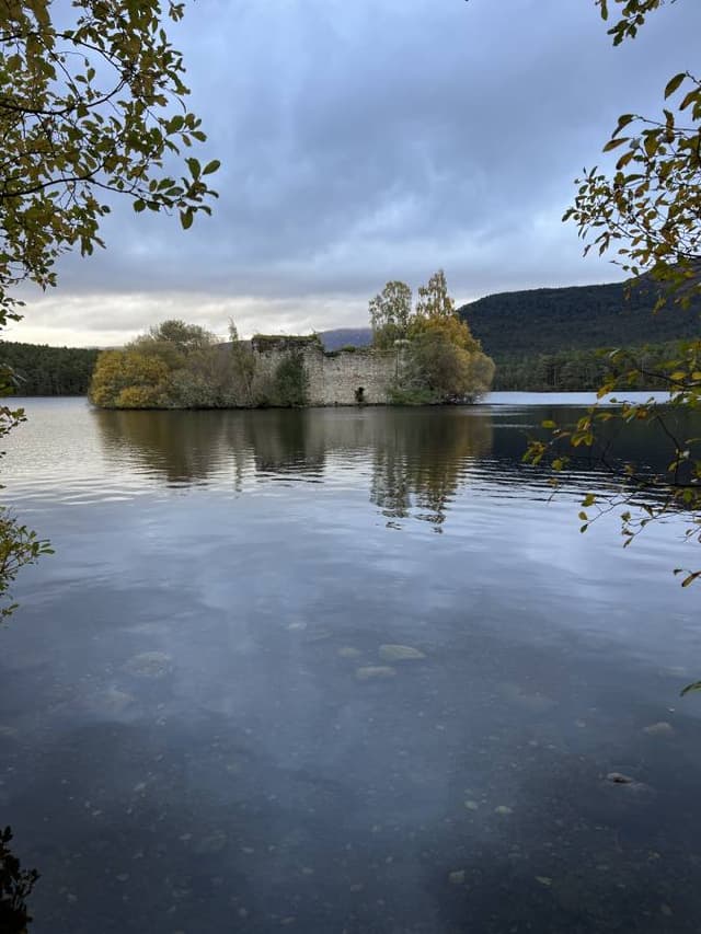 Photo 2 by Lauren R. (10/13/24)