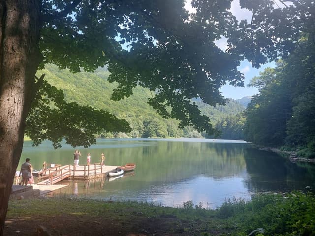 Photo 1 by John M. (8/10/23)