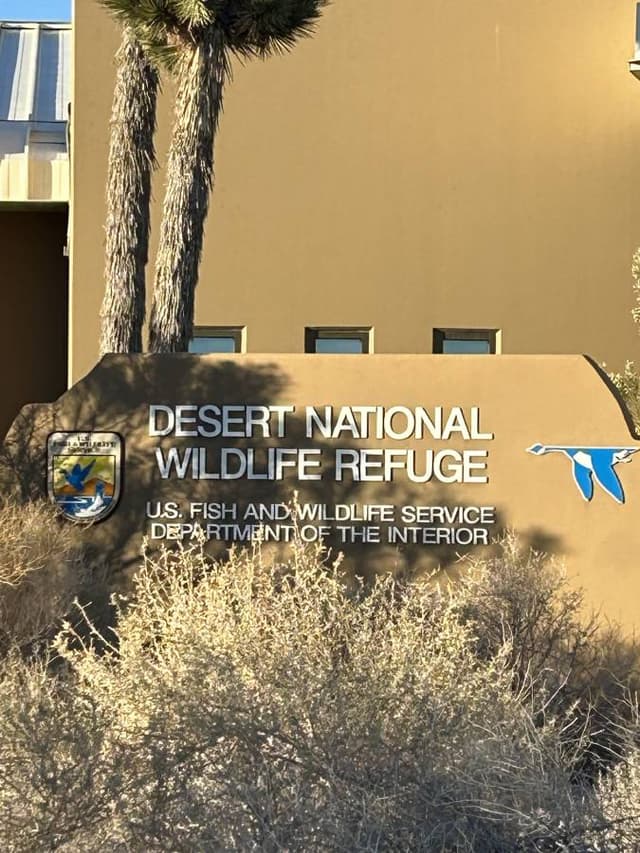 Photo 1 by Ronald B. (11/18/24)