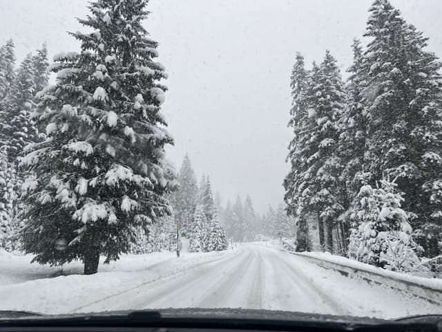 Photo 1 by Cosmin Daniel I. (1/6/24)