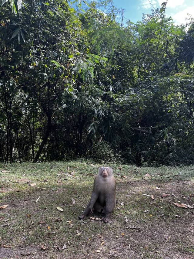 Photo 1 by Douglas R. (12/20/25)