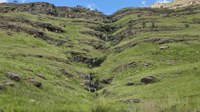 Photo 2 by Michael W. (4/12/25)