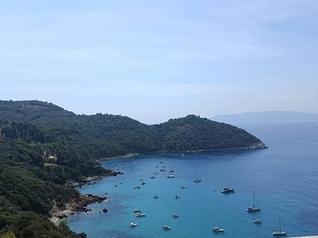 Photo 1 by Michal N. (8/11/24)