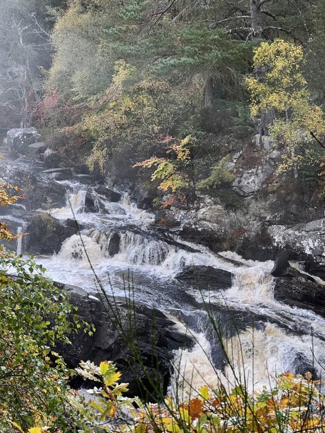 Photo 3 by Lauren R. (10/13/24)