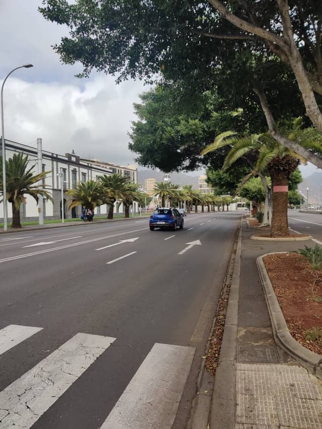 Photo 1 by Ali B. (12/7/23)