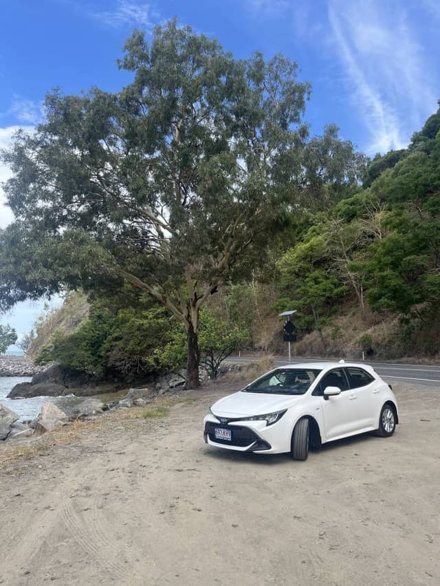 Photo 2 by Thomas P. (12/4/24)