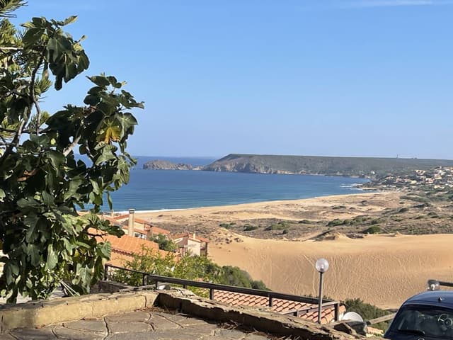 Photo by Andriy Y. (9/6/25)