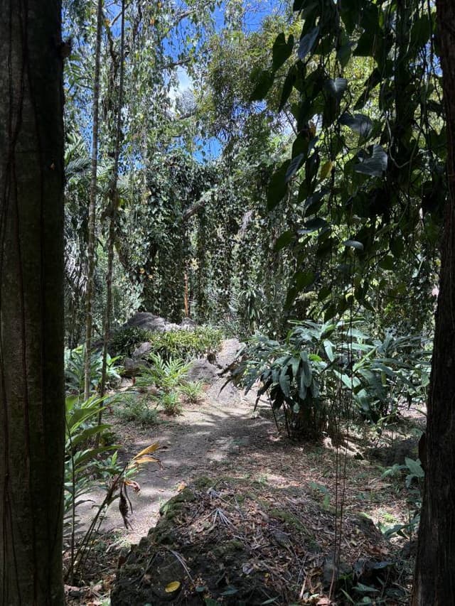 Photo 1 by Richard Y. (10/5/25)