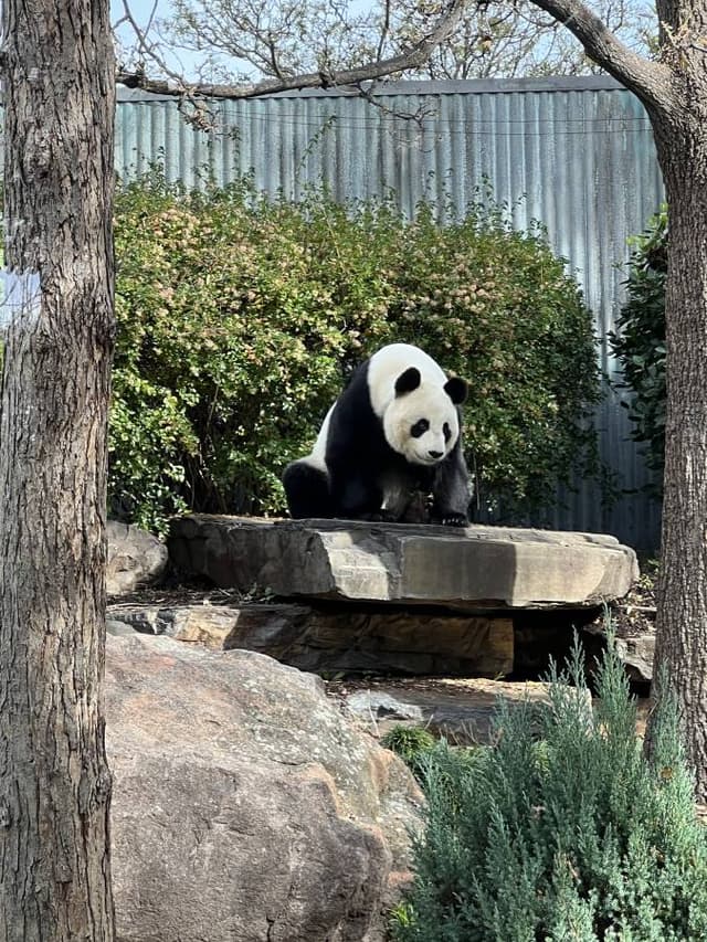 Photo 2 by Dan C. (6/19/24)