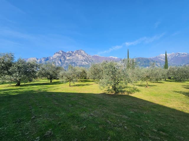 Photo 1 by ALEXANDER A. (4/18/25)