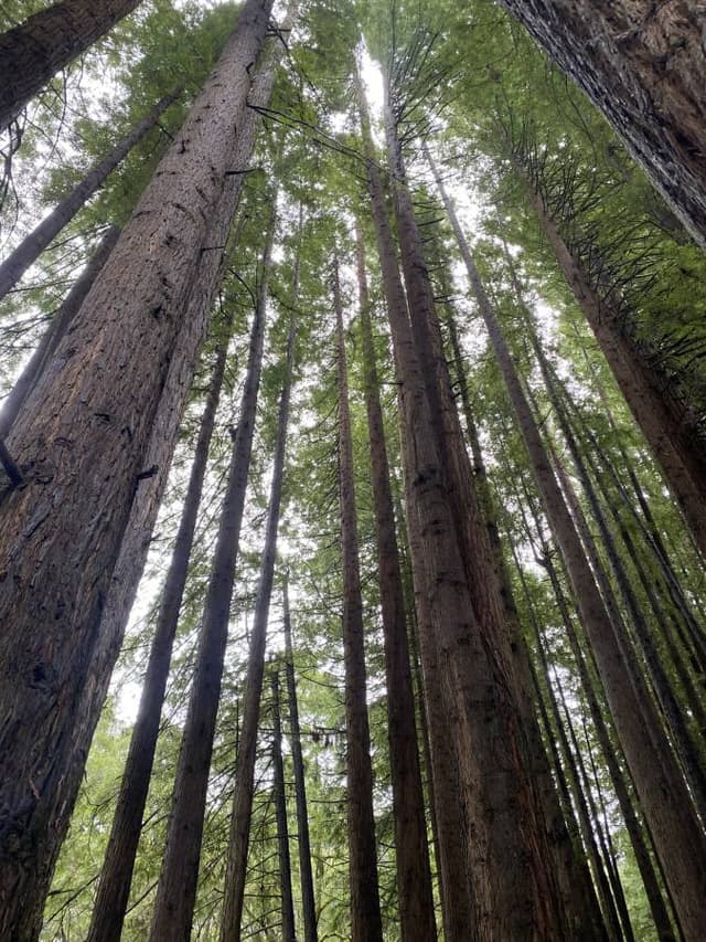 Photo by Jacquelyn G. (9/5/25)